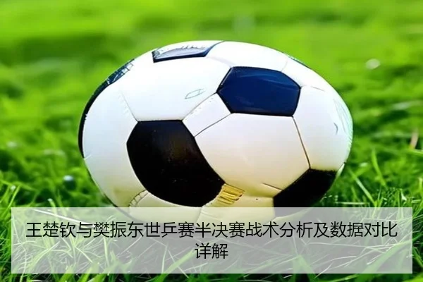 王楚钦与樊振东世乒赛半决赛战术分析及数据对比详解